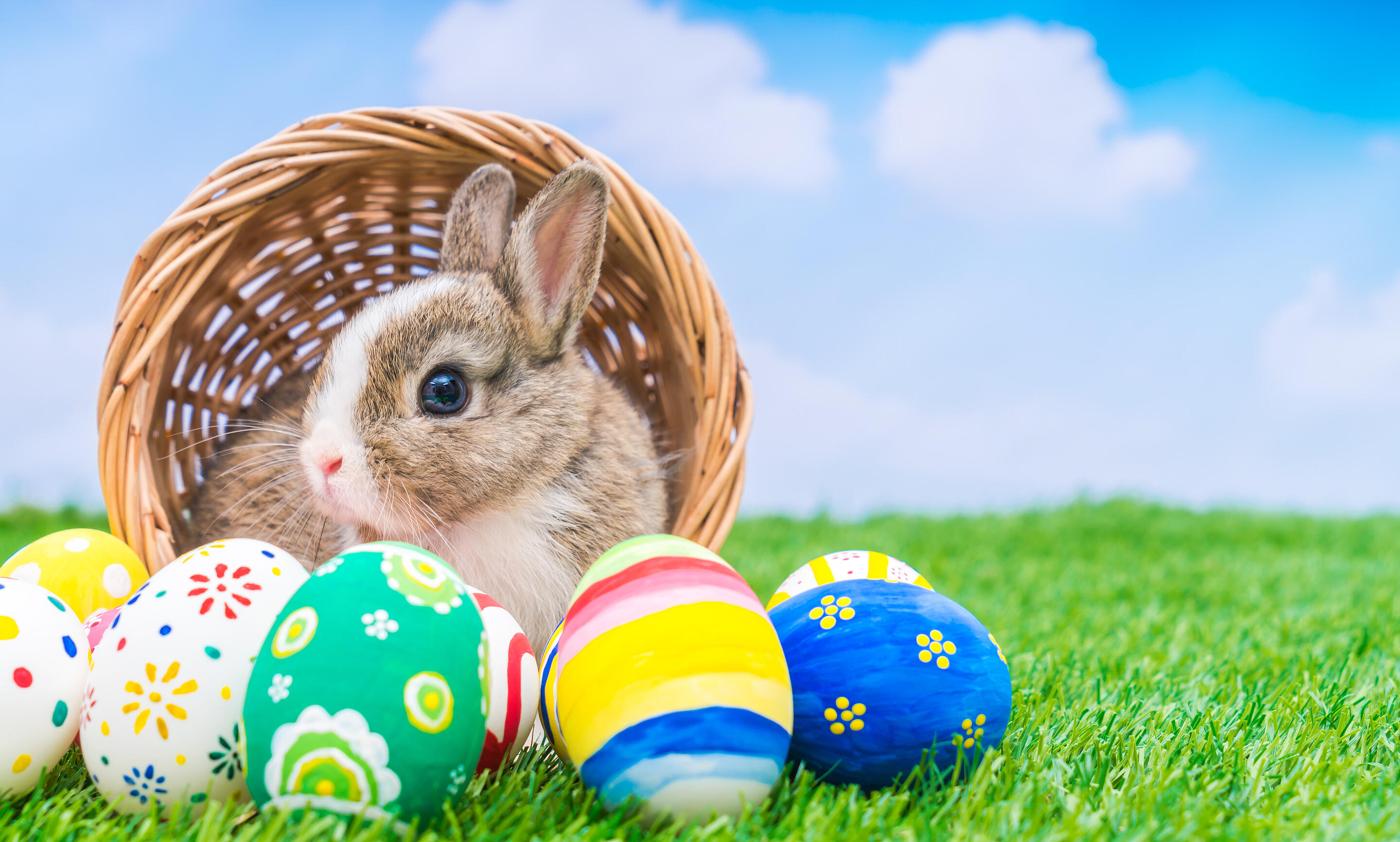 Vidám Húsvét Zsámbékon